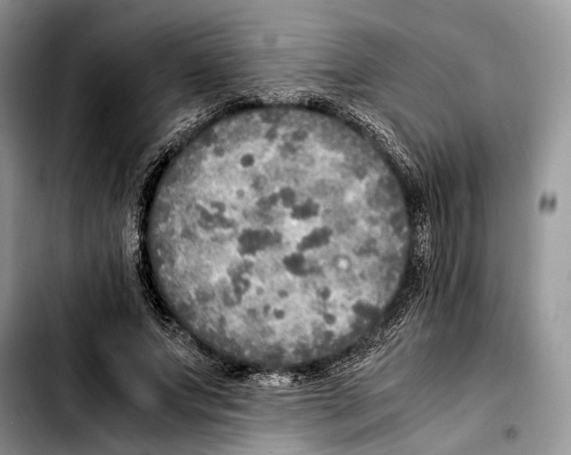 X0000103430687200810101043