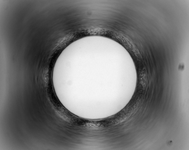 X0000103430690200810101043