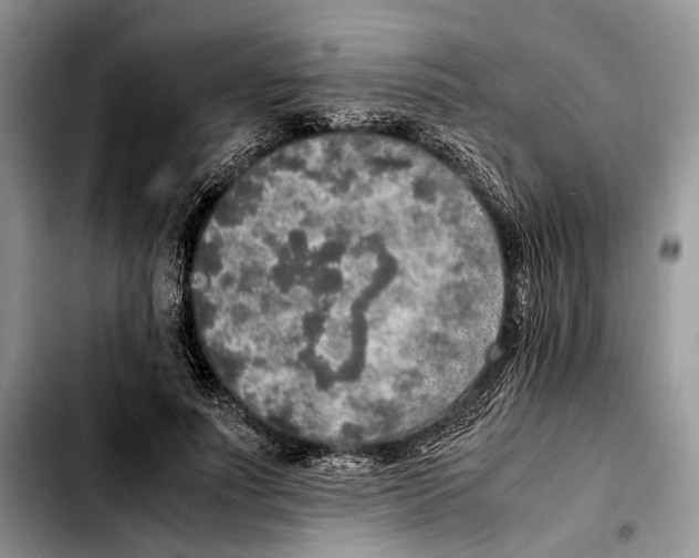 X0000103430691200810101043