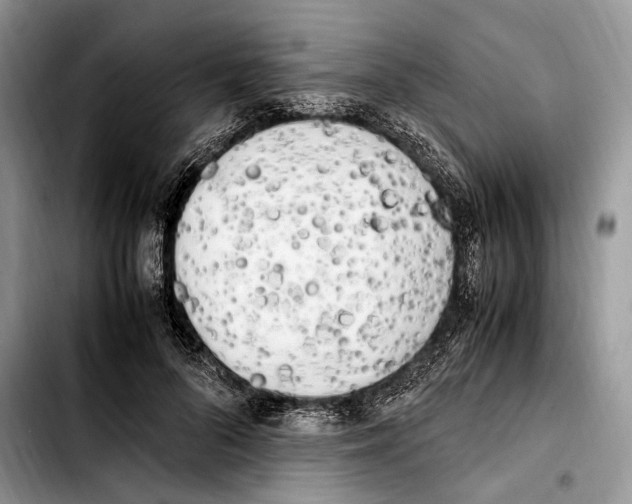 X0000103430696200810101043