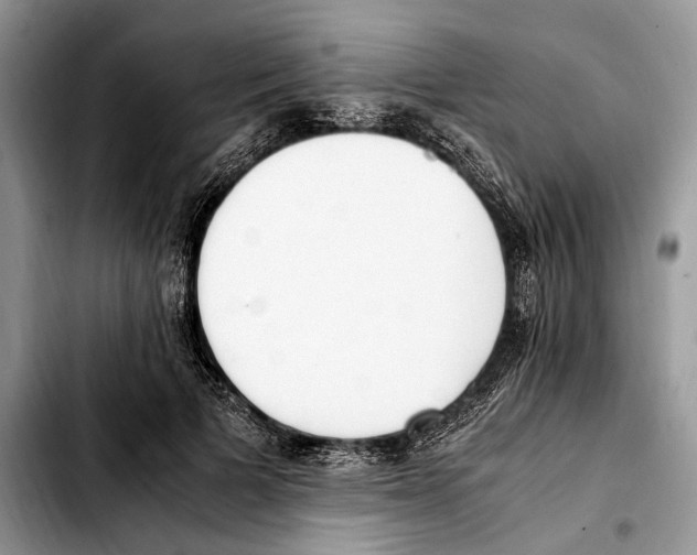 X0000103430697200810101043
