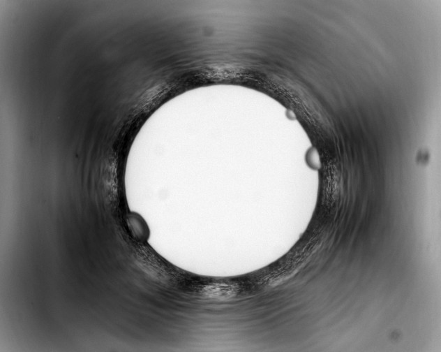 X0000103430700200810101042