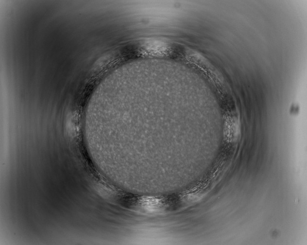 X0000103430701200810101042