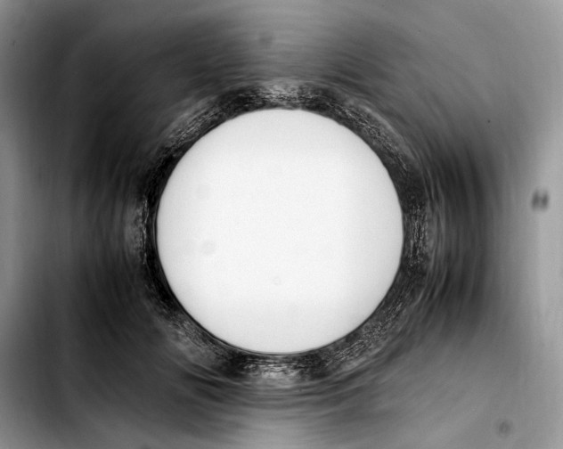 X0000103430702200810101042