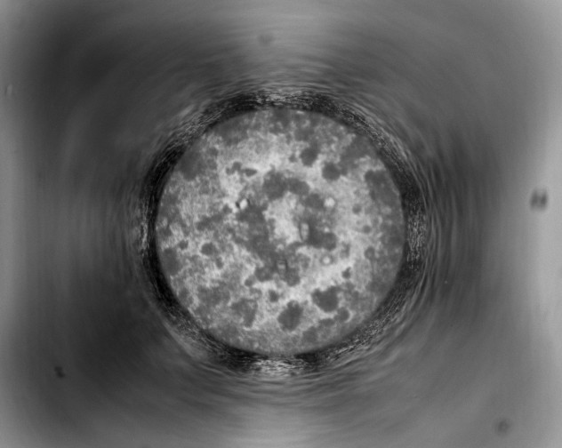 X0000103430703200810101042