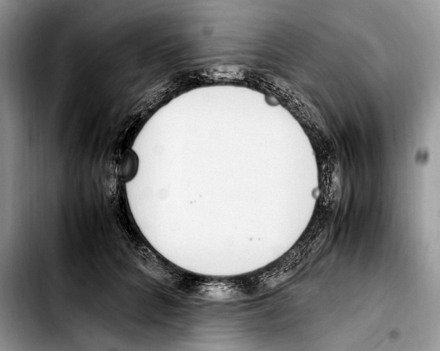 X0000103430704200810101042