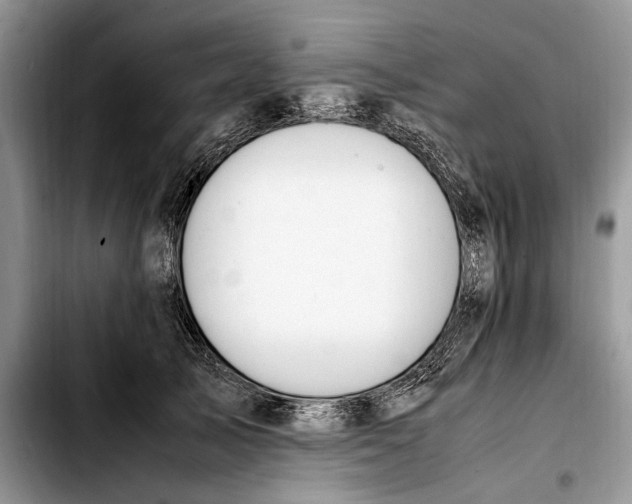 X0000103430705200810101042