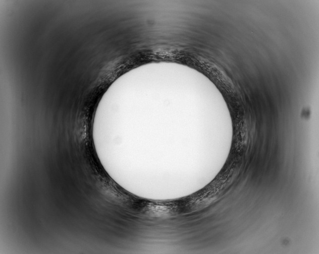 X0000103430706200810101042