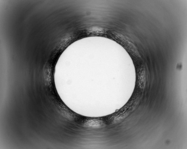X0000103430708200810101042