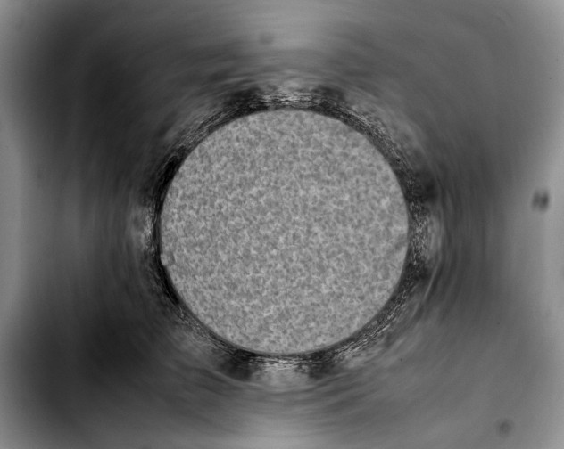 X0000103430709200810101042