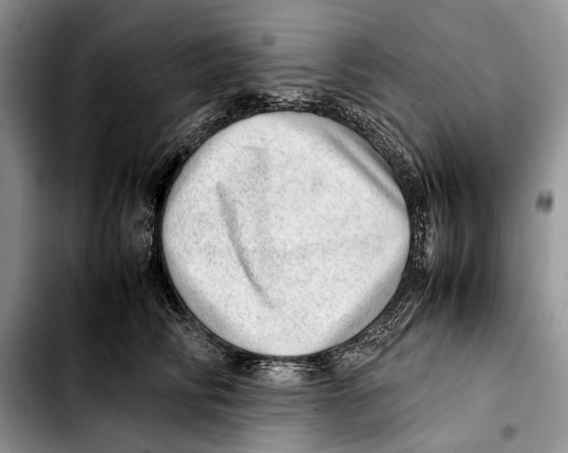 X0000103430710200810101042