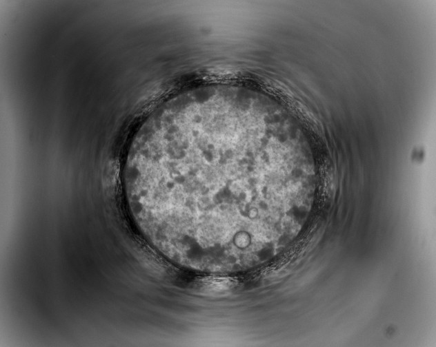 X0000103430711200810101042