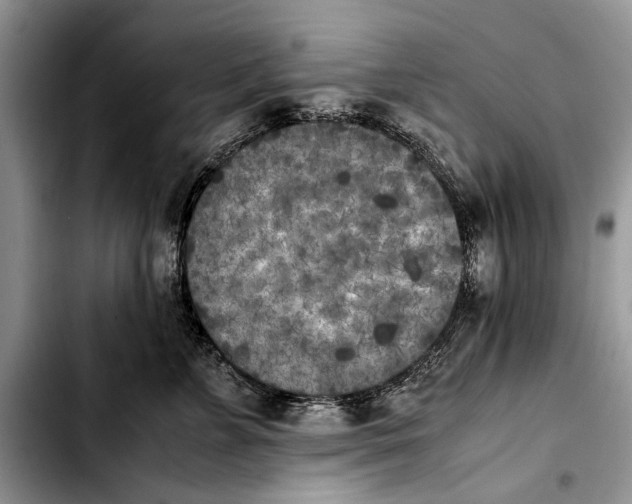 X0000103430715200810101042