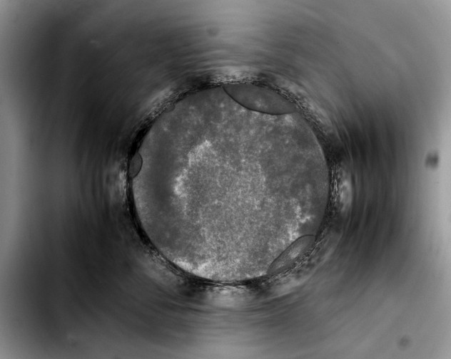 X0000103430716200810101042