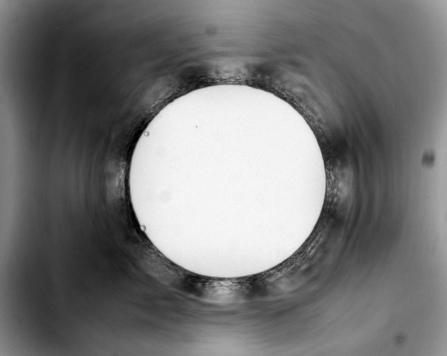 X0000103430717200810101042