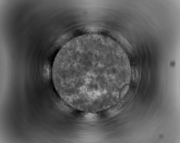 X0000103430718200810101042