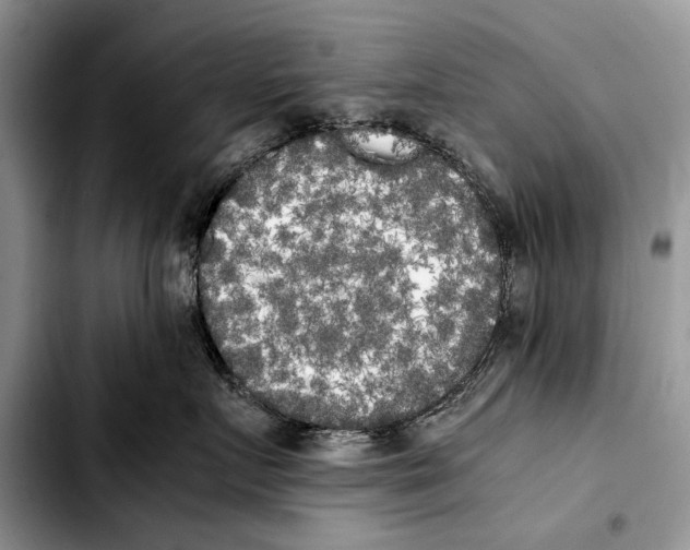 X0000103430719200810101042