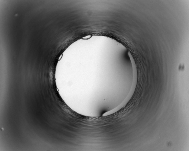 X0000103430720200810101042