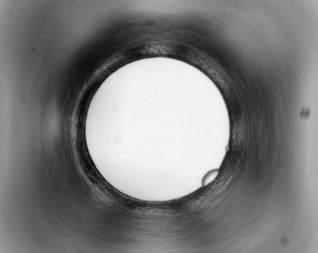 X0000103430722200810101042
