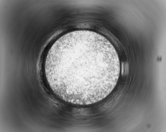 X0000103430723200810101042