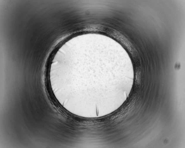 X0000103430724200810101042