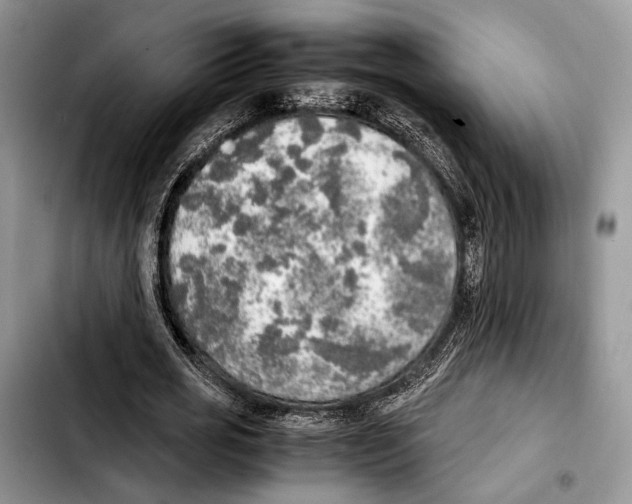 X0000103430725200810101042
