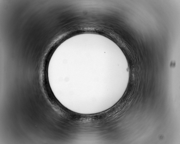 X0000103430728200810101042