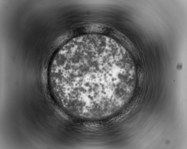 X0000103430729200810101042