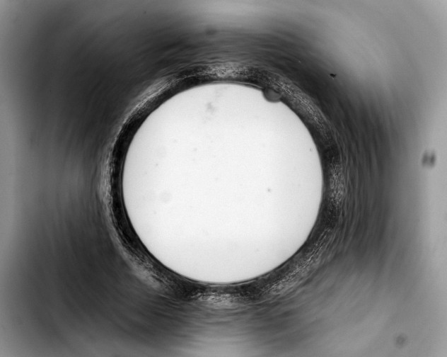 X0000103430730200810101042