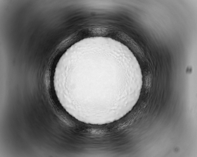 X0000103430733200810101042