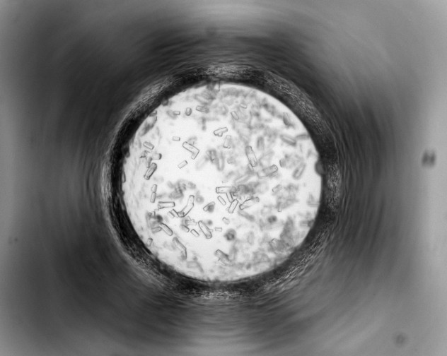 X0000103430734200810101042