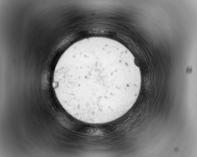 X0000103430735200810101042