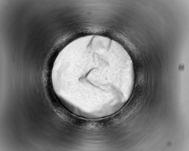X0000103430736200810101042