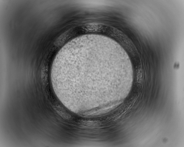X0000103430737200810101042