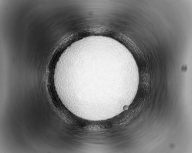 X0000103430738200810101042