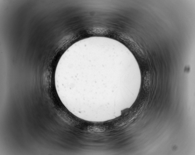 X0000103430739200810101042