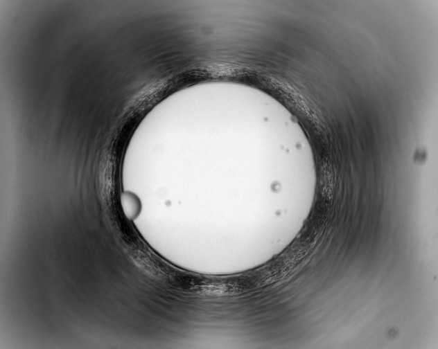 X0000103430740200810101042