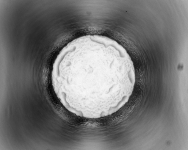X0000103430742200810101042