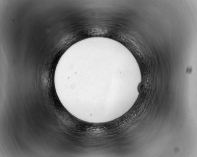 X0000103430743200810101042