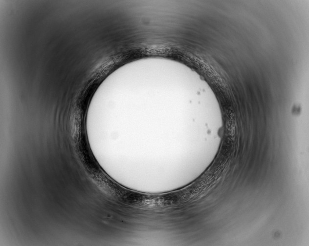 X0000103430744200810101042