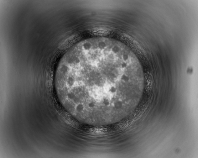 X0000103430745200810101042