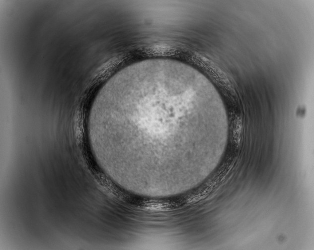 X0000103430746200810101042