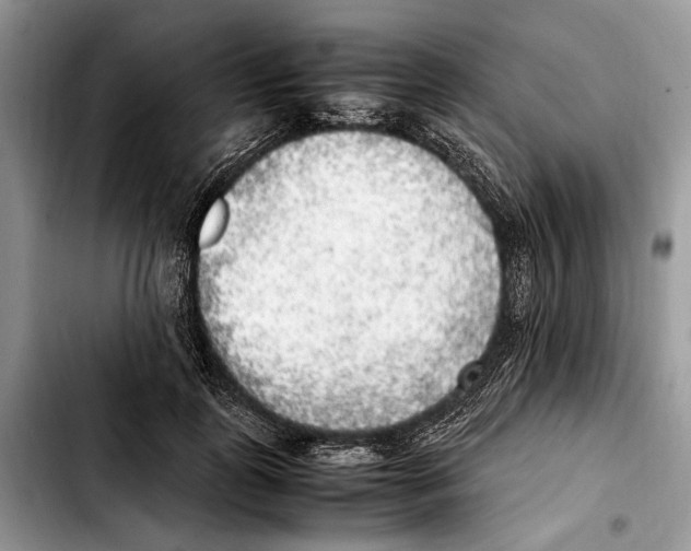 X0000103430747200810101042