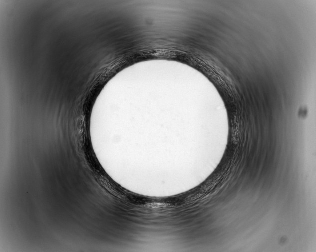 X0000103430748200810101042