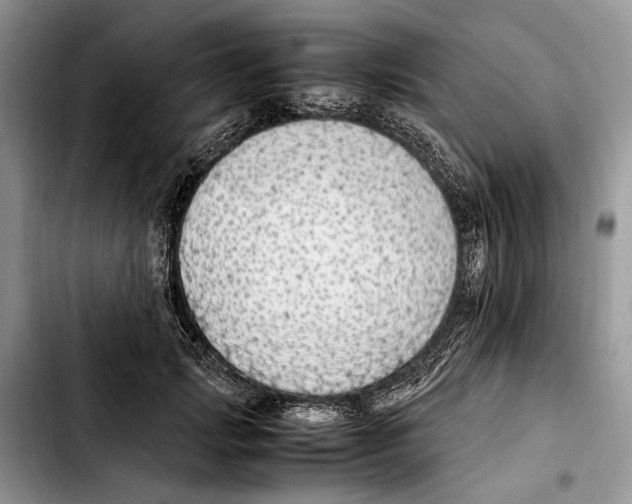 X0000103430749200810101042
