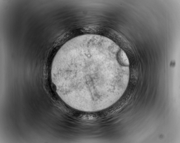 X0000103430751200810101042