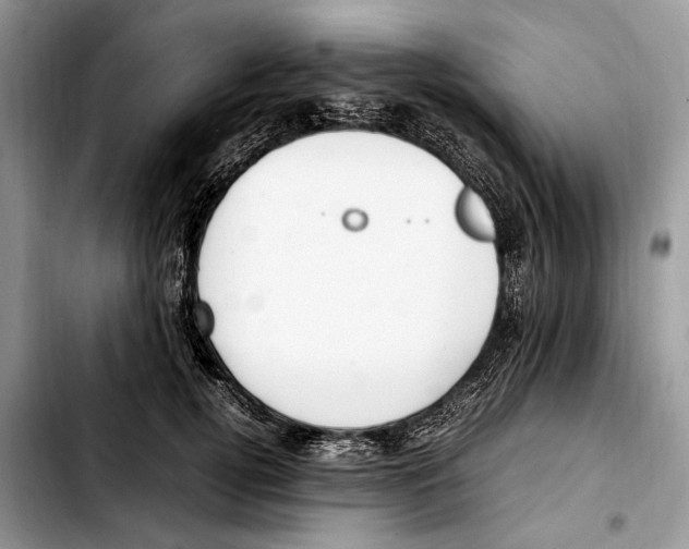 X0000103430752200810101042