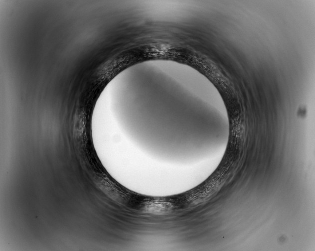 X0000103430754200810101042