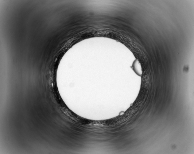 X0000103430756200810101042