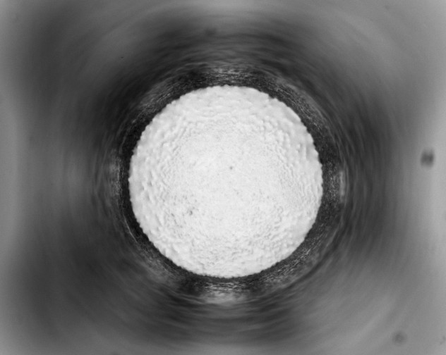 X0000103430757200810101042